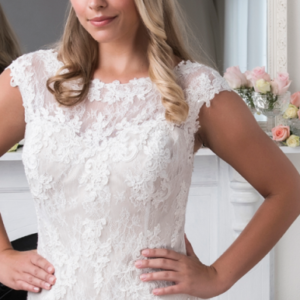 DIVA Curves PT Dasha